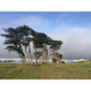 Meet your Posher, Robin